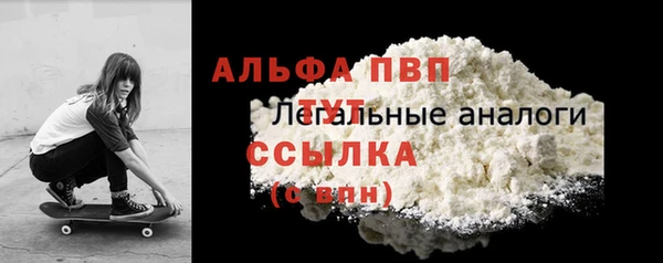 прущий лед Карпинск